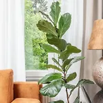 Pappas Hotel&studio Hotel Podebrady