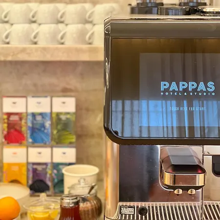 Hotel Pappas Hotel&studio Podiebrady