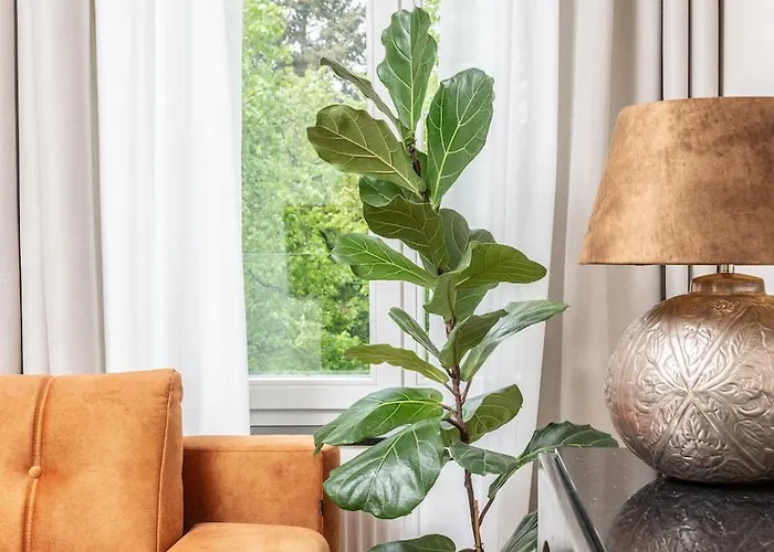 Pappas Hotel&studio Отель Подебрады